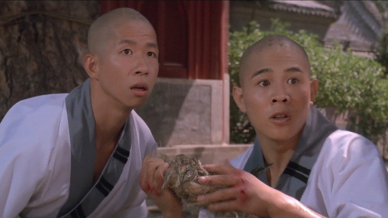 Martial Arts of Shaolin backdrop 9