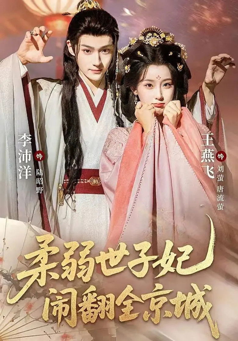 柔弱世子妃闹翻全京城
