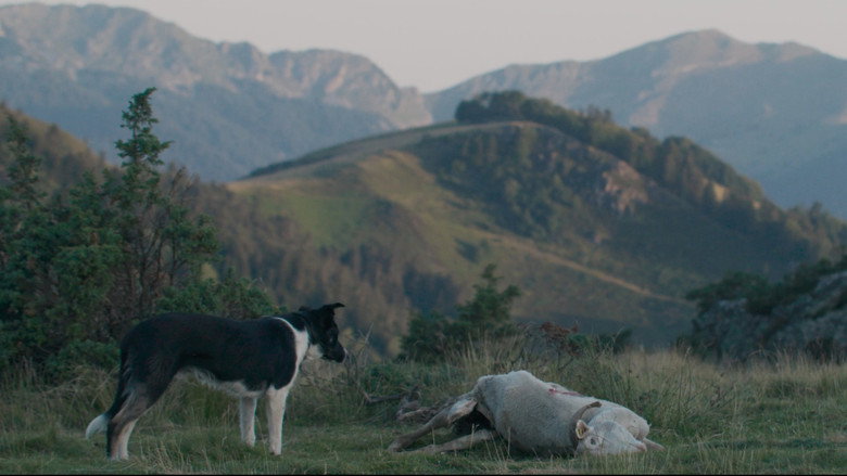 The Shepherd and the Bear backdrop 5