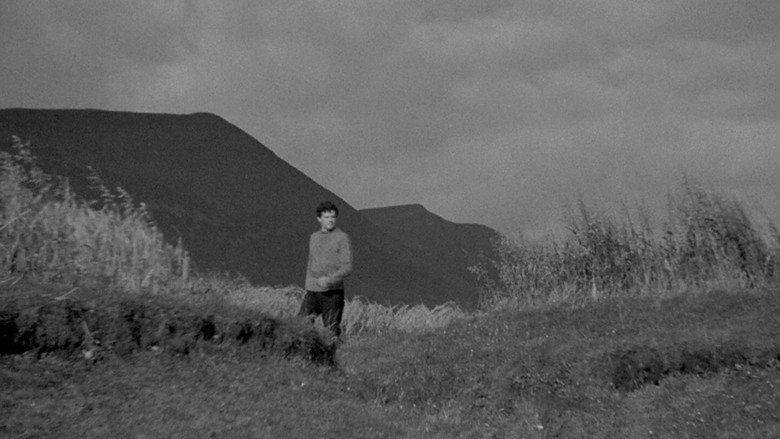 The Edge of the World backdrop 7