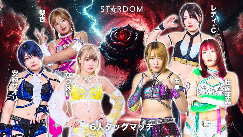 Stardom GW Tour 2026 in Fukuyama backdrop 5