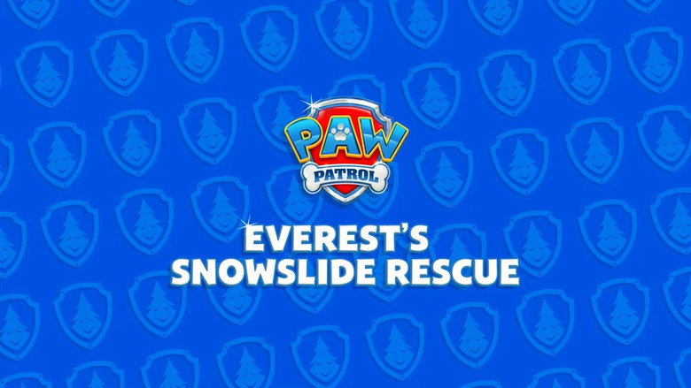 Everest's Snowslide Rescue