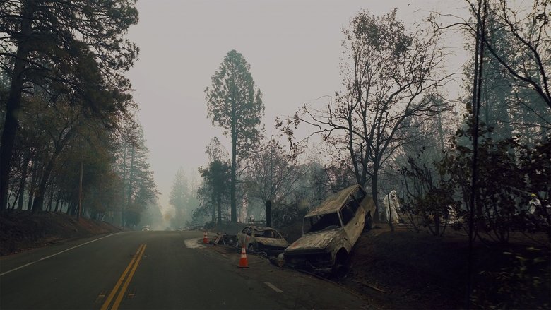 The Fire Cats: Save Something Small