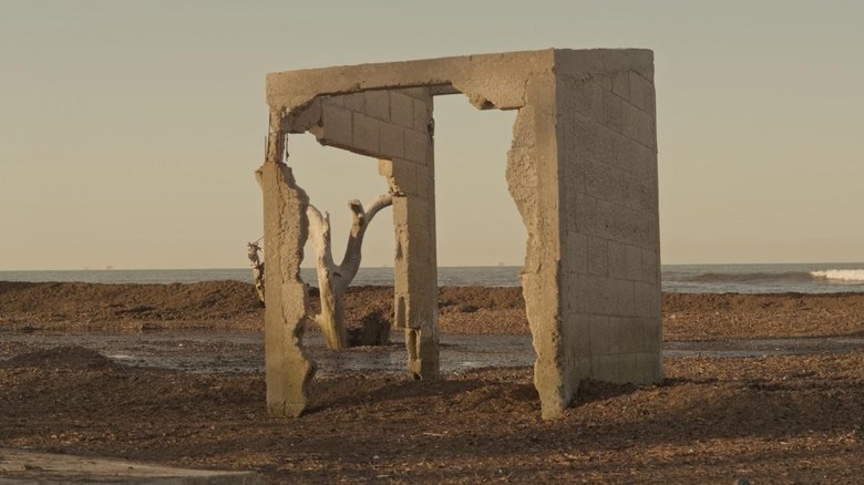 The Stride of Lichen