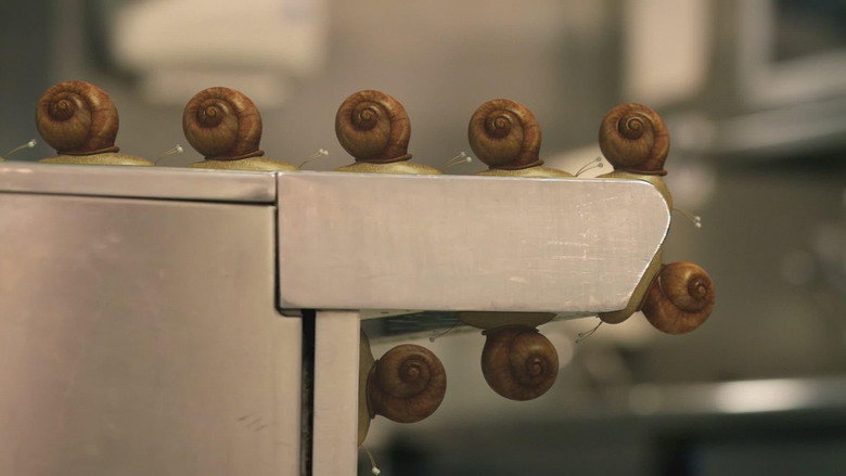 Twelve angry snails