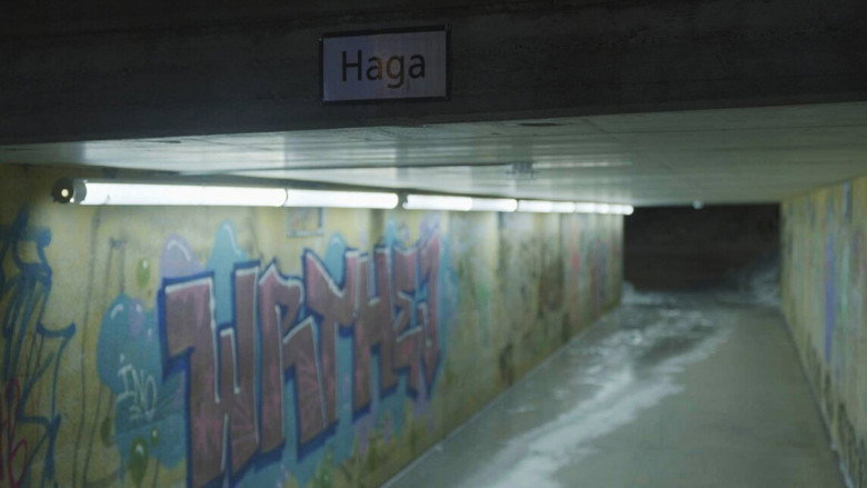 Från våldtäkt till mordförsök