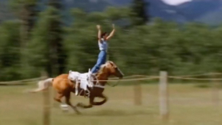 How the West Was Fun backdrop 4