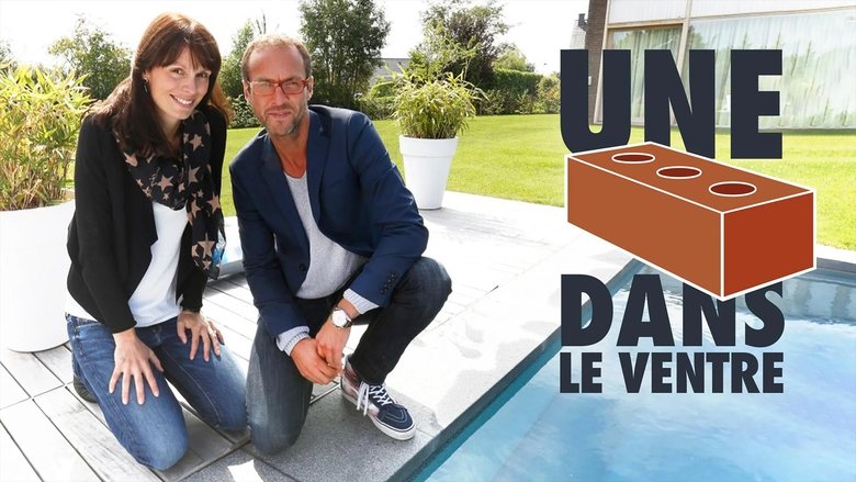 Une brique dans le ventre