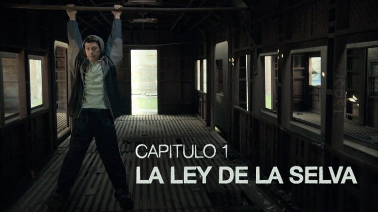 The law of the jungle