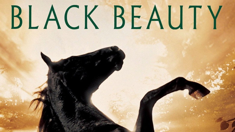 Black Beauty backdrop 5