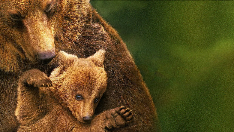 Bears backdrop 2