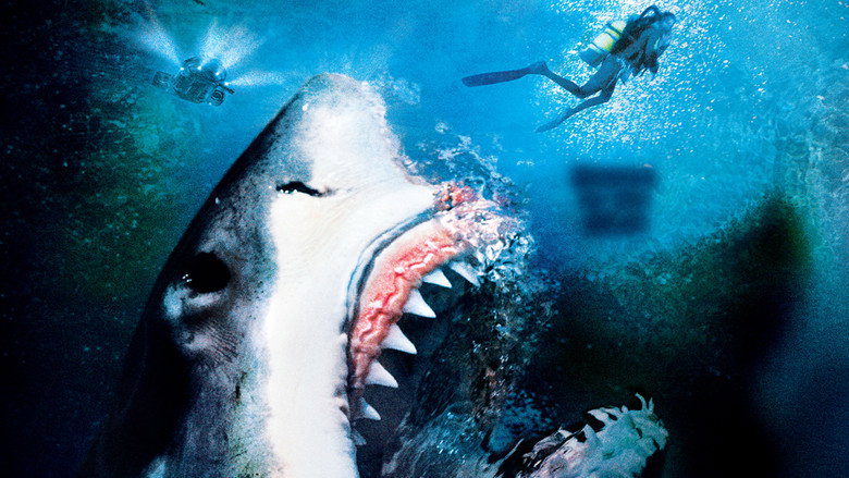 Shark Hunter backdrop 9