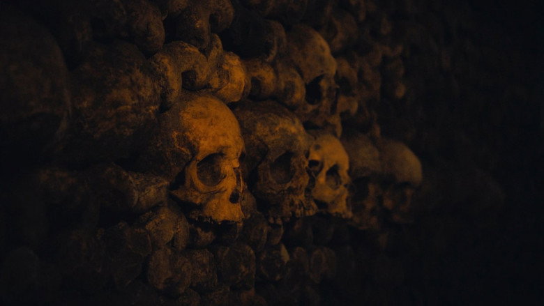 Queens of the Stone Age: Alive in the Catacombs backdrop 7