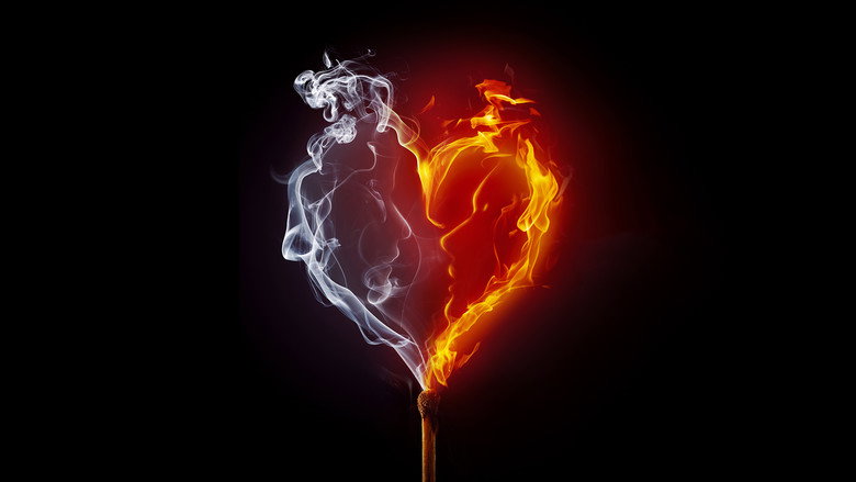 Desperately Seeking Soulmate: Escaping Twin Flames Universe backdrop 2