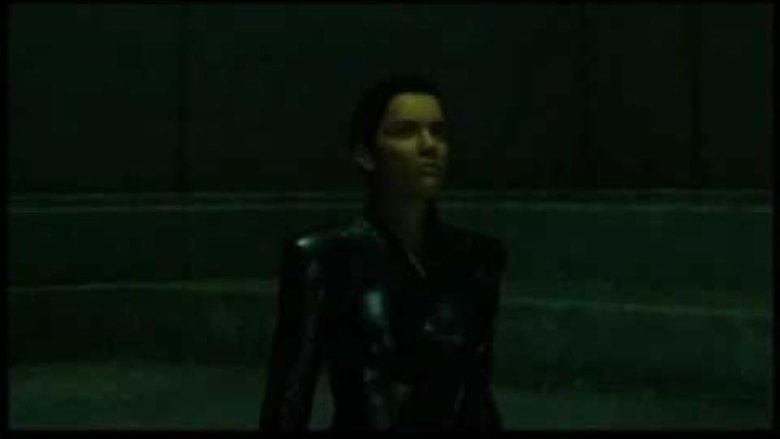 The Animatrix: Aki Ross