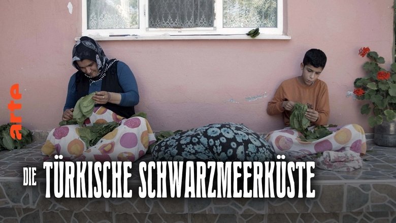 Die türkische Schwarzmeerküste