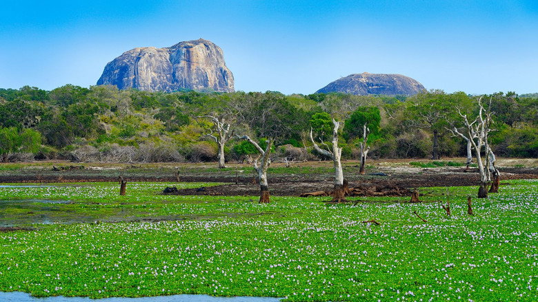 Yala National Park — An Eden in Sri Lanka