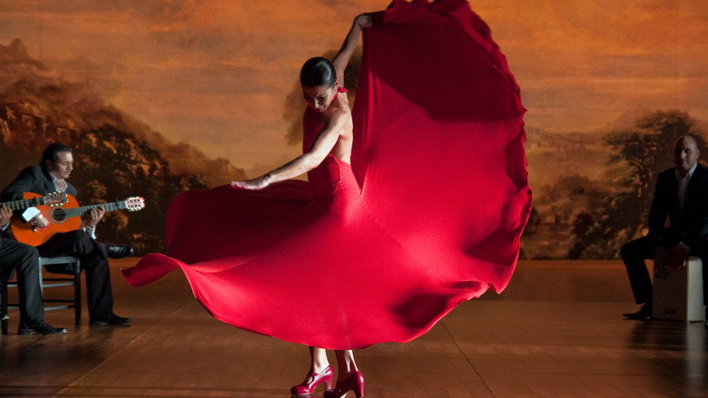 Flamenco Flamenco backdrop 8