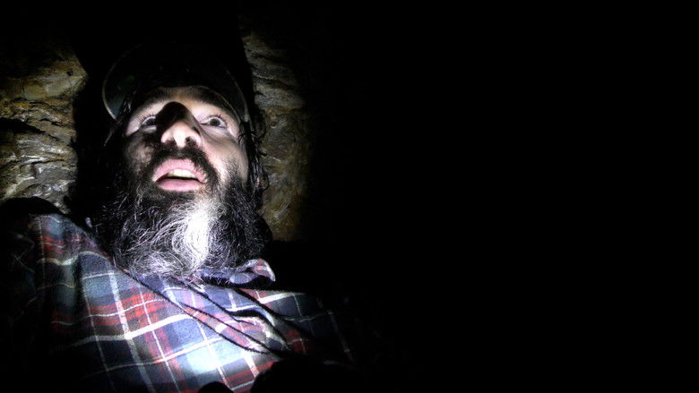 Wilderness Tapes: Volume One