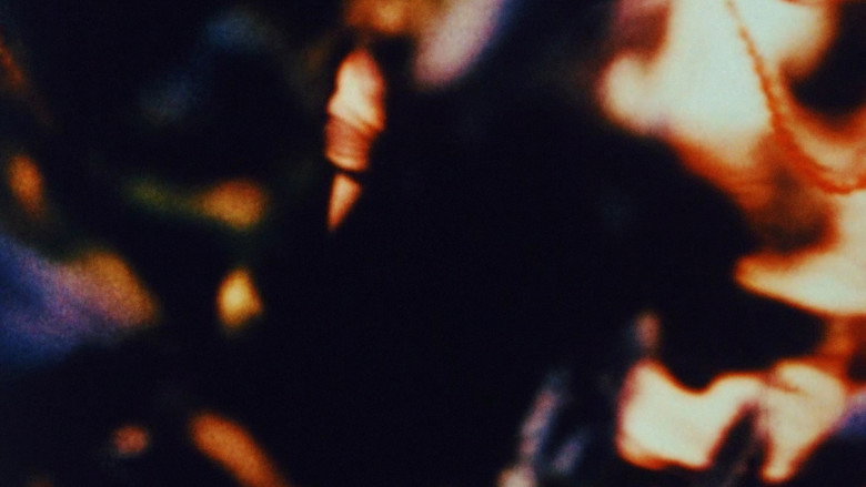 Lupe backdrop 4