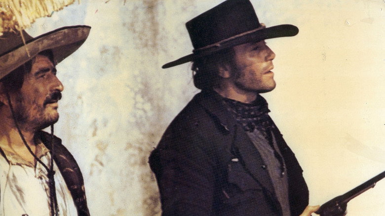 Viva! Django backdrop 7