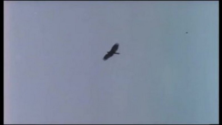 Valley of the Eagles