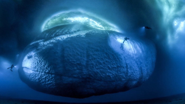 Antarctica, in the footsteps of the Emperor backdrop 8