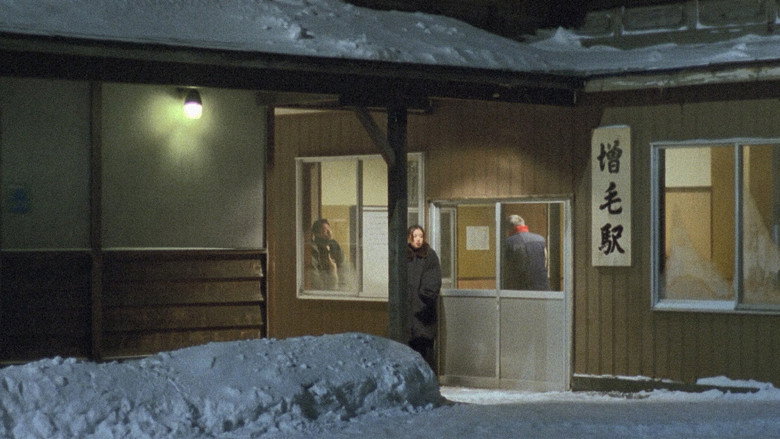 Man Walking on Snow backdrop 6
