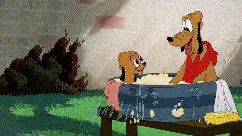 Pluto Junior backdrop 7