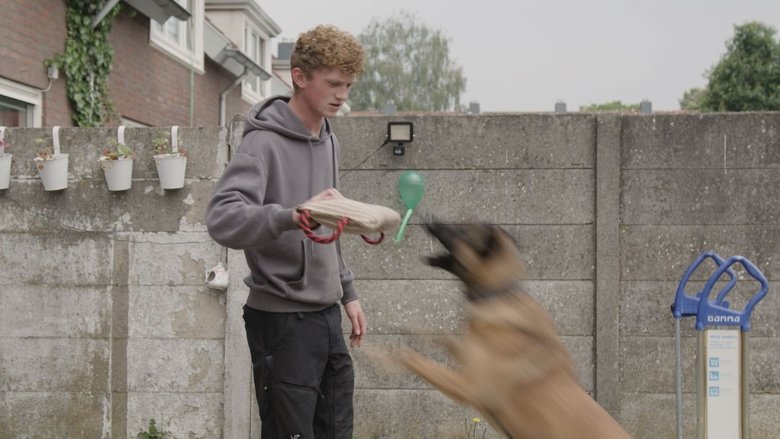 Episode 4