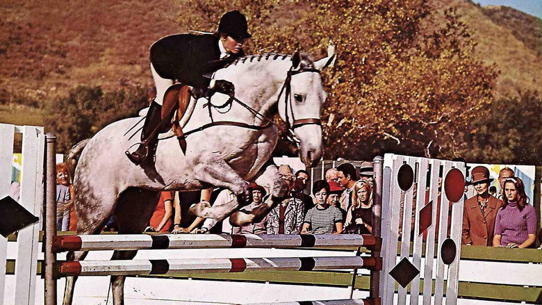 The Horse in the Gray Flannel Suit backdrop 5