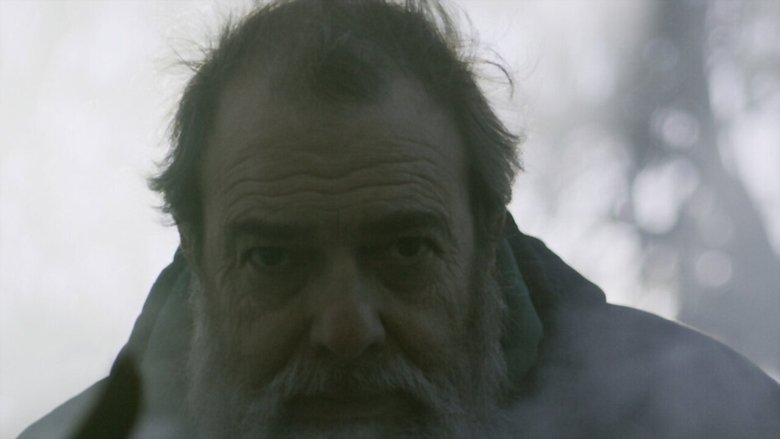 Noel Burgess