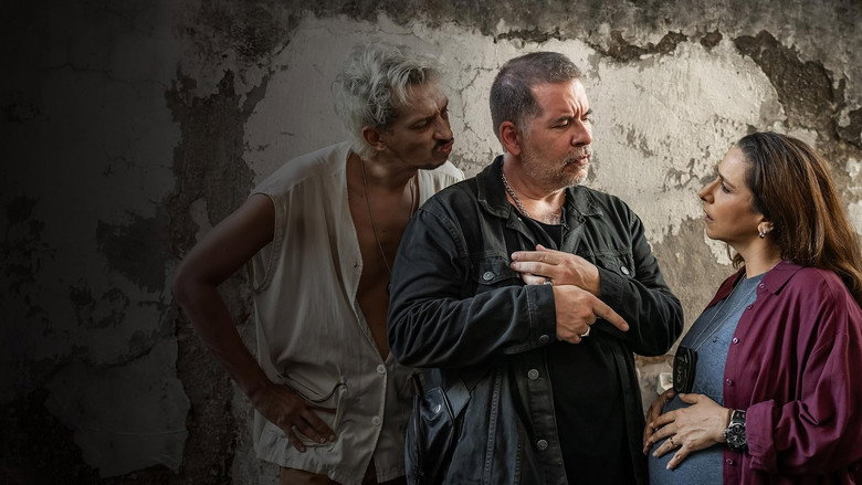 O Rei da Feira backdrop 3