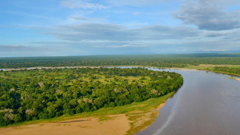 Wild Africa: Rivers of Life backdrop 2