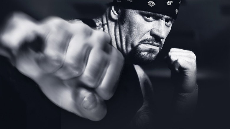 WWE Vengeance 2003 backdrop 1