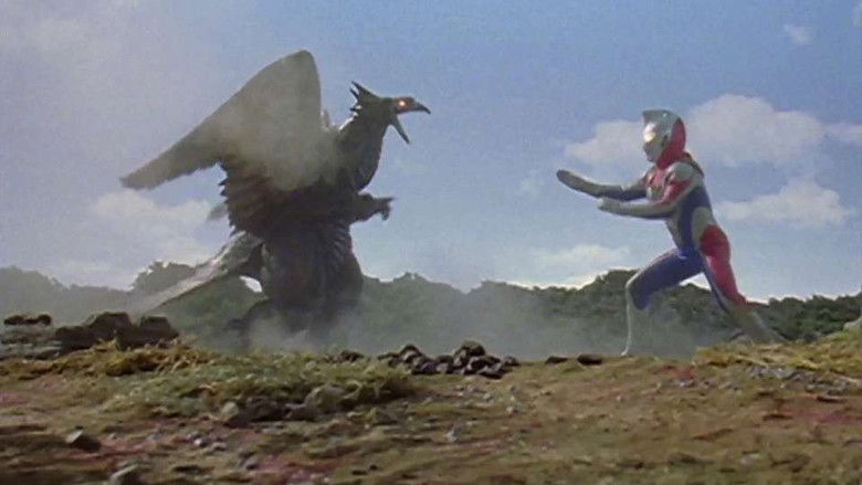 Forbidden Picture on the Ground