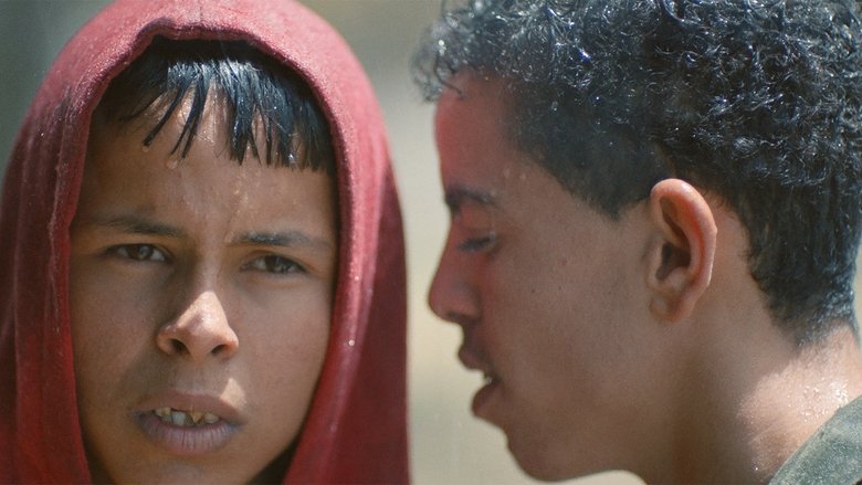 Latifa Gafsi