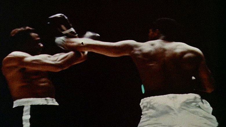 a.k.a. Cassius Clay backdrop 5