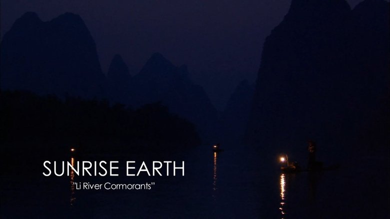 Li River Cormorants
