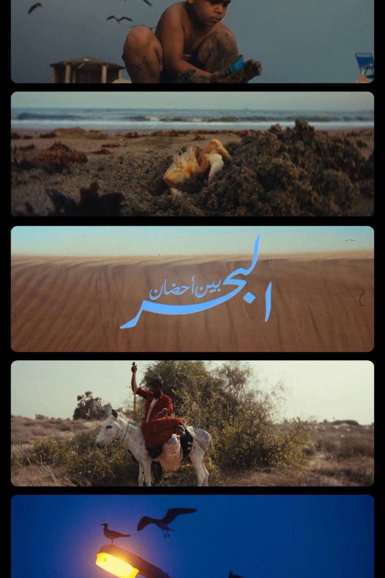 بين أحضان البحر