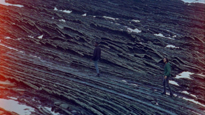 Laiotz backdrop 3
