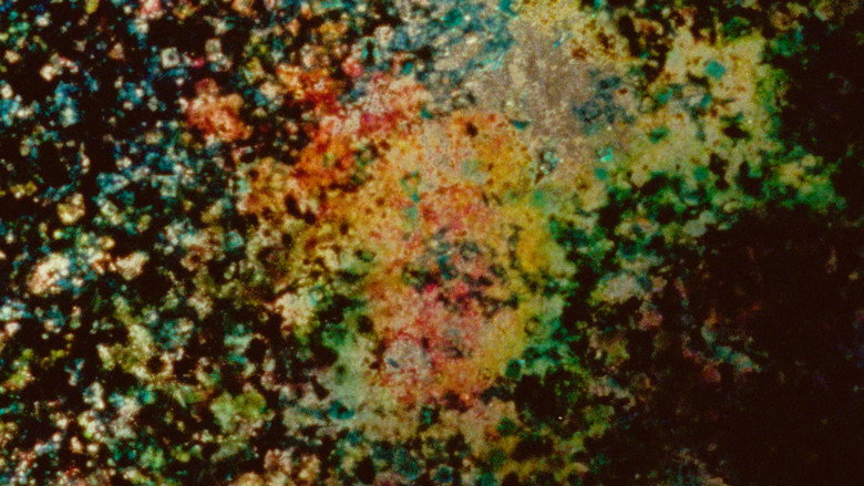 Landfill 16 backdrop 6