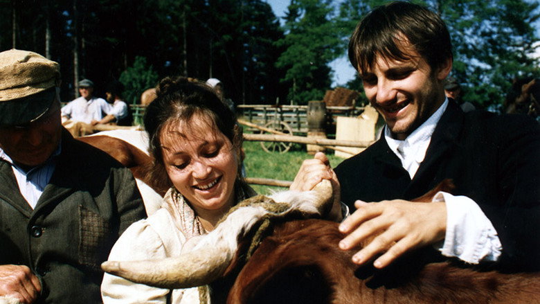 The Cow backdrop 4
