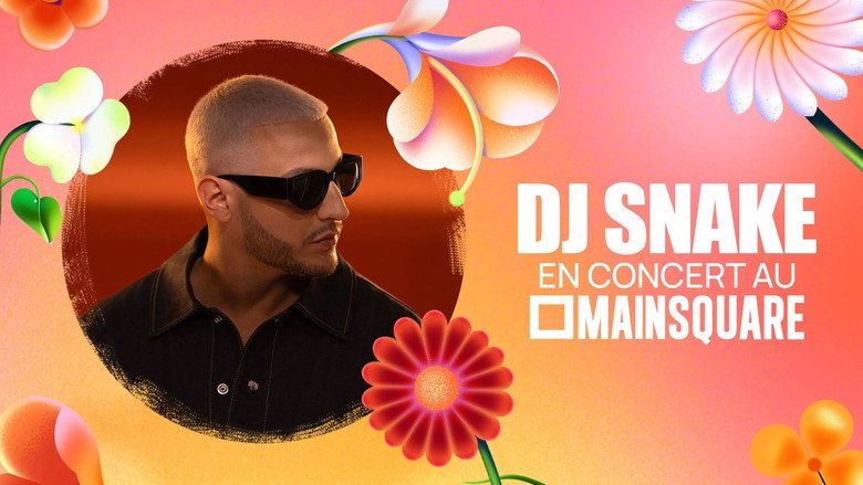 DJ Snake en concert au Main Square Festival backdrop 2