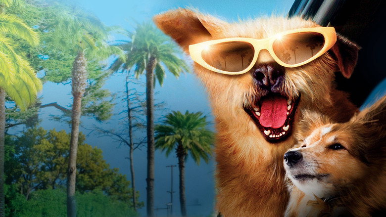 Dr. Dolittle: Million Dollar Mutts backdrop 5