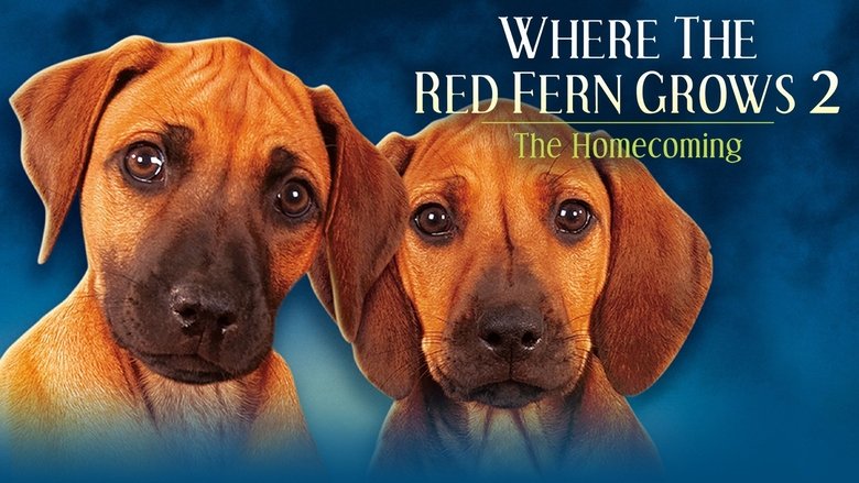 Movie Where The Red Fern Grows Part 2 Poster Images, BackDrops Images, Logo Images backdrops 0 /dDePkdi3sEKdPsh1aYelDG33FiO.jpg