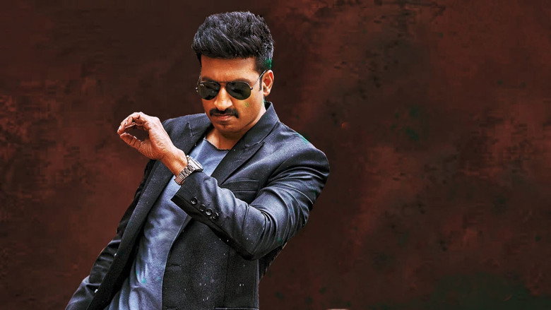 Pakka Commercial backdrop 6