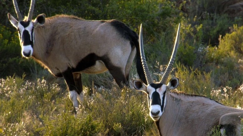 Karoo National Park