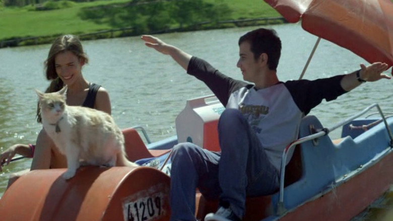Cats on a Pedal Boat backdrop 3