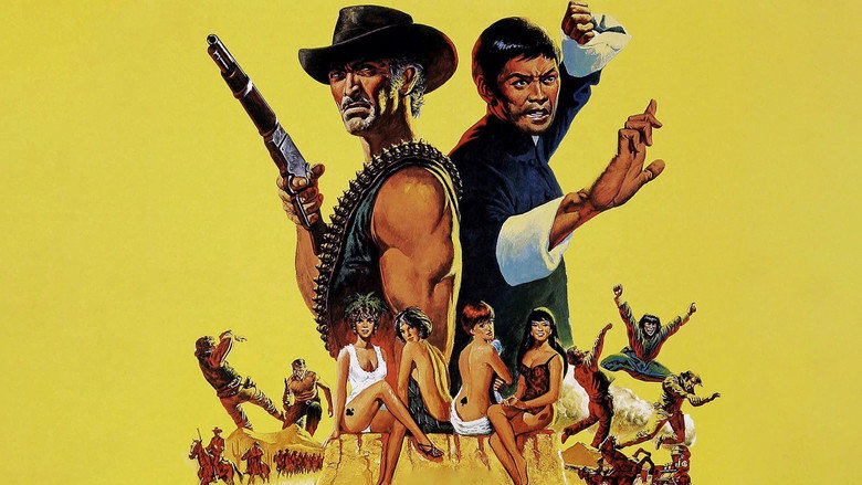 The Stranger and the Gunfighter backdrop 5